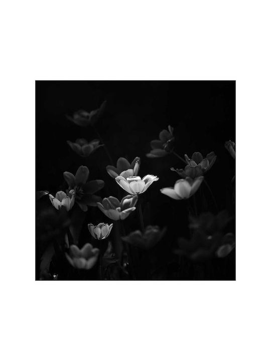 Ethereal Black White Flowers Painting 110x110