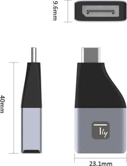 Techly USB-C Weiblich zu USB-C Männlich Konverter 1Stück IADAP USBC-DP4K