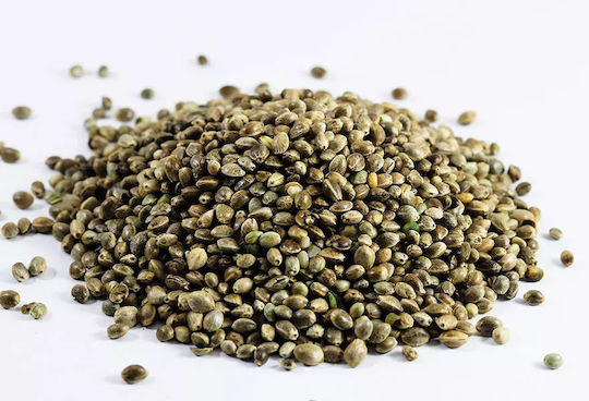 Cannadorra Organice Semințe de canabis Intregi 500gr