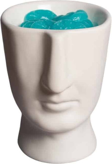 Scentchips Wax Melt Aromatic 850139