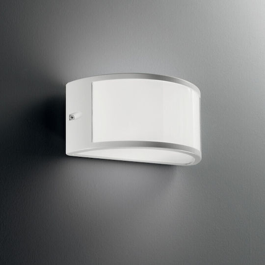 Ideal Lux Χελώνα 25x13x12εκ. Ideal Lux Χελώνα 25x13x12εκ.