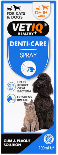 VetIQ Planet Line 2 in 1 Gum Shield Zahnpflege Mundspülung Hund für Kleine Rassen mit Geschmack Minze 100ml