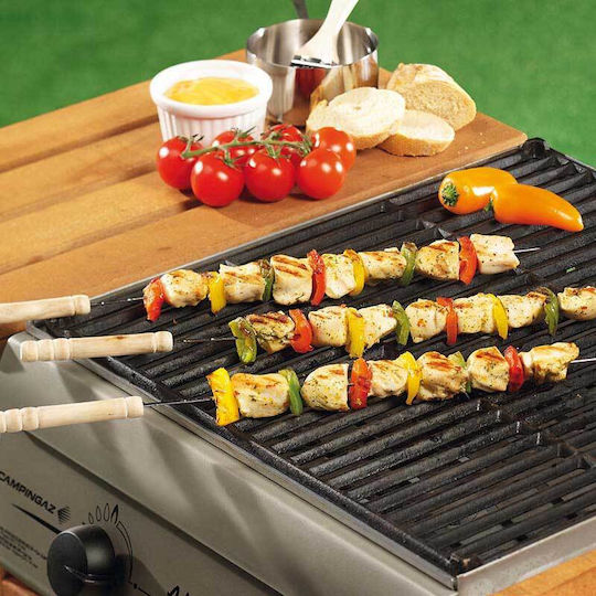 BBQ Collection Scuipător de unică folosință pentru grătar de unică folosință 24cm 4buc