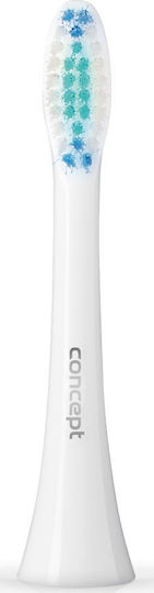 Concept Perfect Smile Daily Clean ZK0001 Ersatzköpfe für 4 Stück