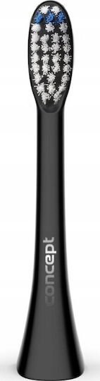 Concept Perfect Smile Daily Clean ZK0051 Ersatzköpfe für 4 Stück