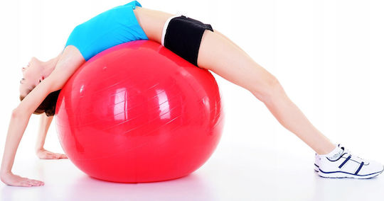 Spartan Μπάλα Pilates 95cm σε Ροζ Χρώμα