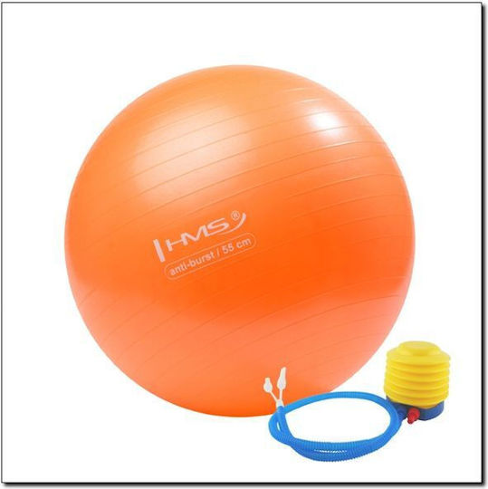 Abisal Ball Pilates 55cm in Orange Color