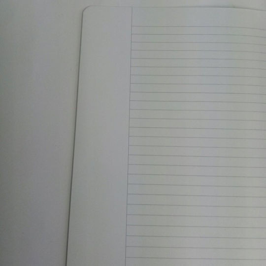 Herlitz Carnet Cu dungi Albastru