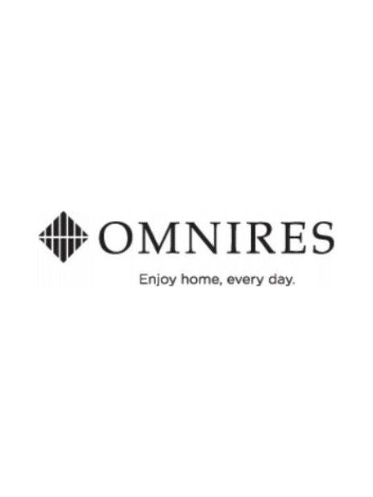 Omnires Built-in Faucet Mixer for Shower Silver