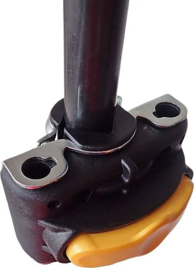 Bellelli 007267