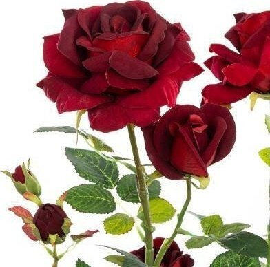 Atmosphera Artificial Plant In A Pot Rose Bush 74 Cm Red Atmosphera Artificial Plant In A Pot Rose Bush 74 Cm Red