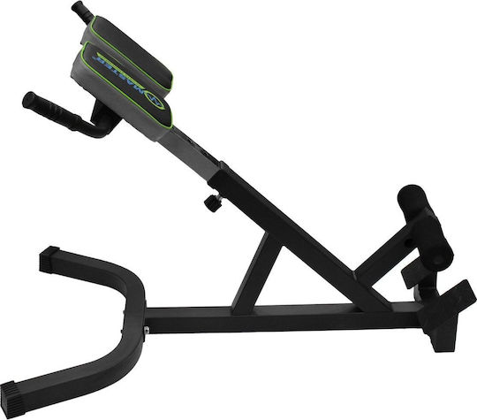 Master Einstellbar Trainingsbank Dorsal