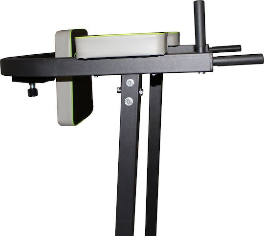 Master Multi-Gym without Weights
