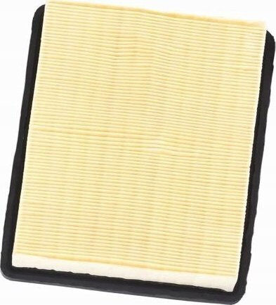 Hepa-Filter Dedra Ded6607