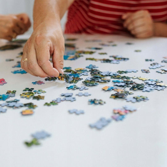 Vedere în Gdańsk, Polonia Puzzle 2D 1000buc