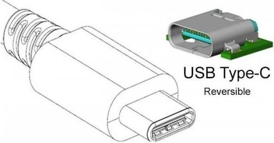 Techly USB-C male - HDMI female (020409)