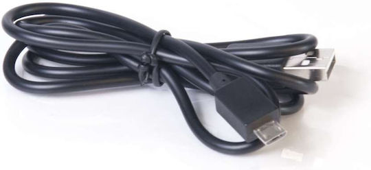Club3D Converter DisplayPort male to DisplayPort female 1pcs CSV-6200