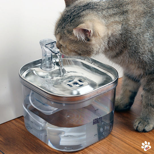 Linomag Automat Adăpătoare / Fântână din oțel inoxidabil pentru Câine & Pisică 3x 2lt 17cm în Culoare Transparent