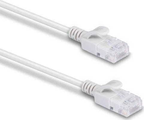 Lindy U/UTP Cat.6a Ethernet Network Cable 0.3m Gray 1pcs