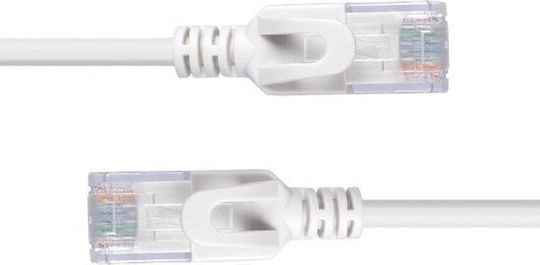 Lindy U/UTP Cat.6a Ethernet Network Cable 0.3m Gray 1pcs
