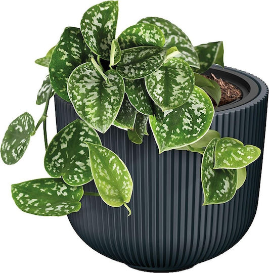 Prosperplast Саксия Зелен 24x24εκ.