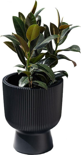 Prosperplast Planter Green 30x30cm.