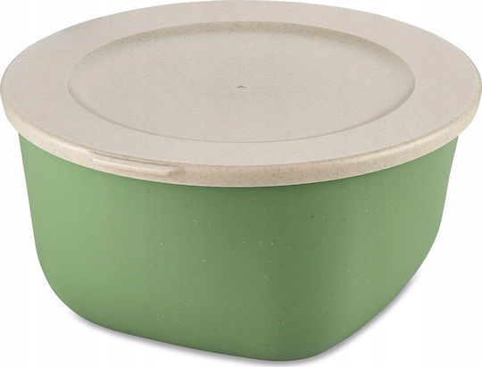 Koziol Plastic Transparent Lunch Box 2lt