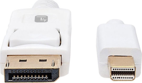 Techly Cable DisplayPort male - mini DisplayPort male 1m Λευκό
