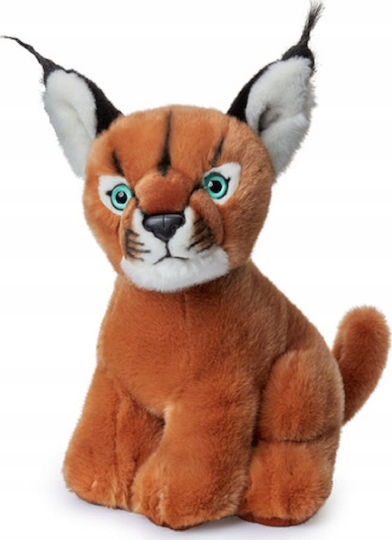 Caracal Dubi 30cm