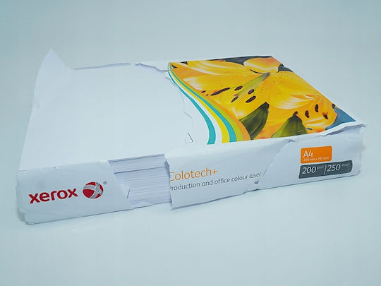 Xerox Χαρτί Εκτύπωσης A4 200gr/m² 250 φύλλα