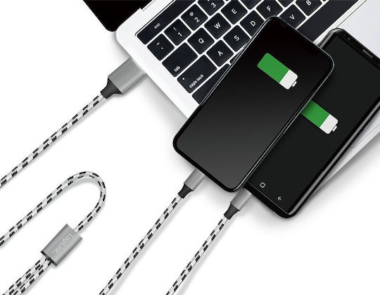 LogiLink Regular USB 2.0 Cablu USB-C bărbătesc - USB-C 1.2m