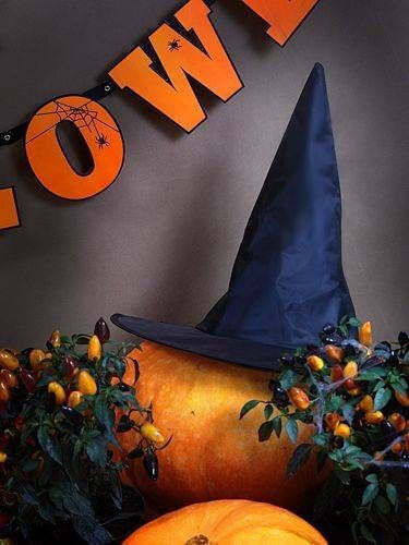 Carnival Hat Black for Halloween 1pcs