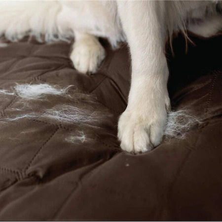 Pucioasa Elastische Abdeckung Sessel Braun