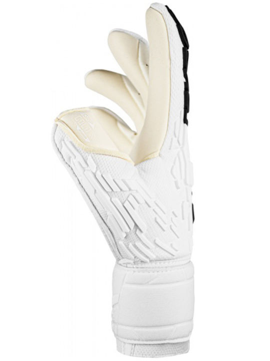 Reusch Attrakt Freegel Adults Goalkeeper Gloves White