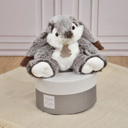 Histoire d'Ours Iepuraș de pluș 20 cm.