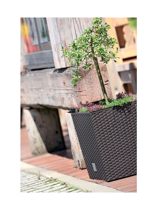 Prosperplast Rato Low Topf Kunststoff 20x20x20.2cm.