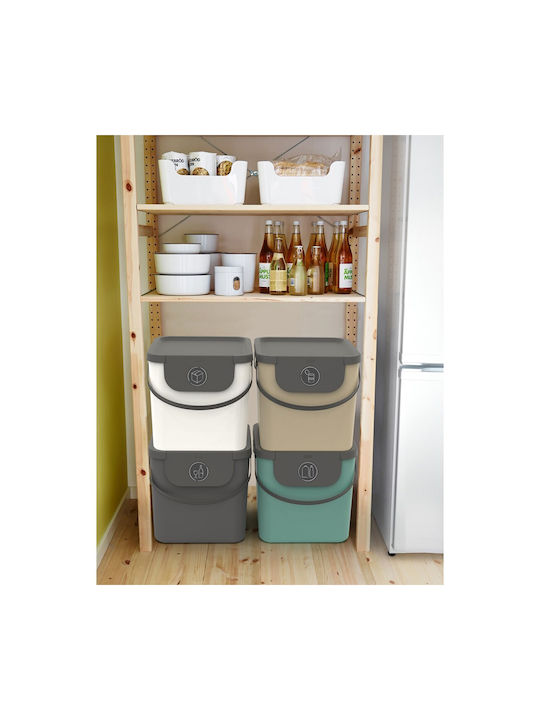 Rotho Babydesign Kunststoff Büroabfallbehälter 40Es Grün 35.5x33.9x39.8cm
