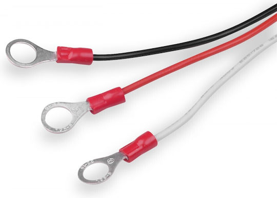 Volt Polska Baterie Li-Po 24V pentru Vehicul RC