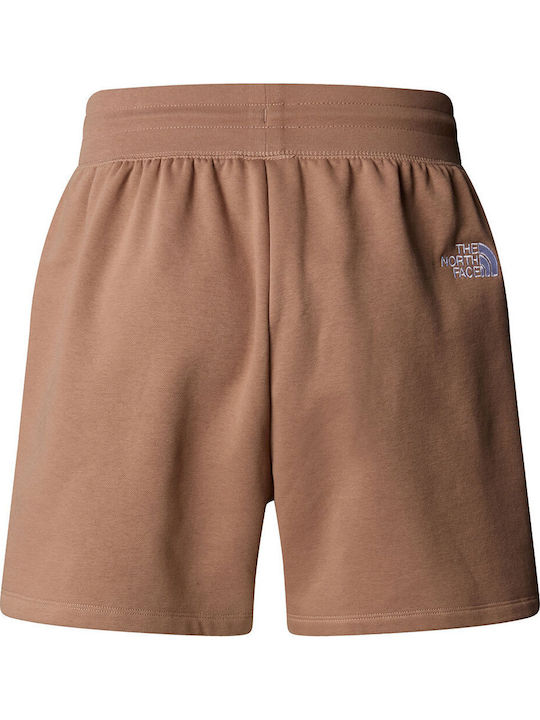 The North Face Γυναικείο Σορτς Καφέ