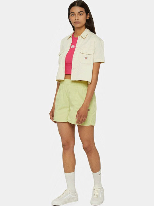 Dickies