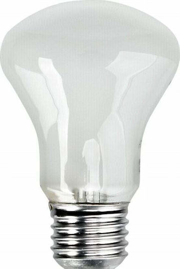 Elinchrom Adjsustment Light 196V 100W Replacement Lamp Daylight 100W