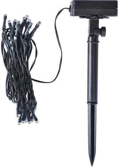 Πυξάρι σε Γλάστρα 52cm με LED 2τμχ vidaXL