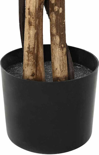 Ficus in Topfpflanze vidaXL