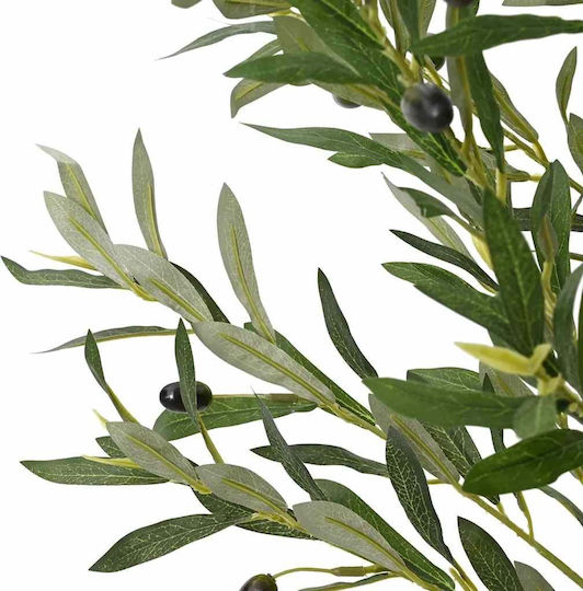 Olive Baum im Freien vidaXL