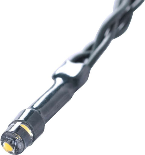 Buxus in Topfpflanze 22cm mit LED 2 Stück vidaXL