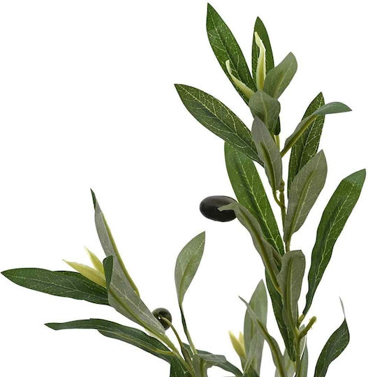 Olive Baum im Freien vidaXL