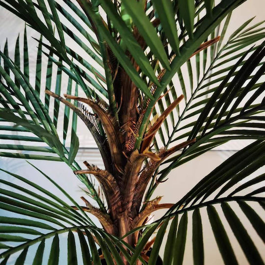 Artificial Palm Tree H1.2m 16 Pe Leaves Black Pot Ø15cm Artificial Palm Tree H1.2m 16 Pe Leaves Black Pot Ø15cm