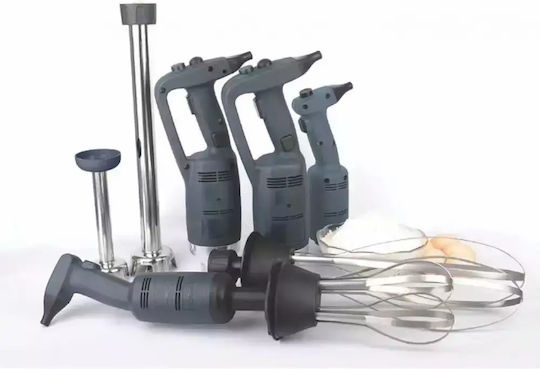 Dynamic Mixers Μοτέρ Ραβδομπλέντερ με Ισχύ 500W