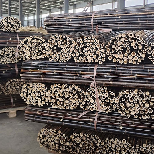 Showood Bamboo Fencing with Whole Reed Bamboo 2x2.5m