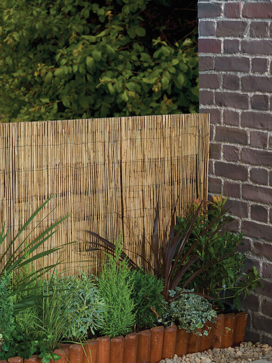 Viosarp Bamboo Fencing with Whole Reed 1.5x3m
